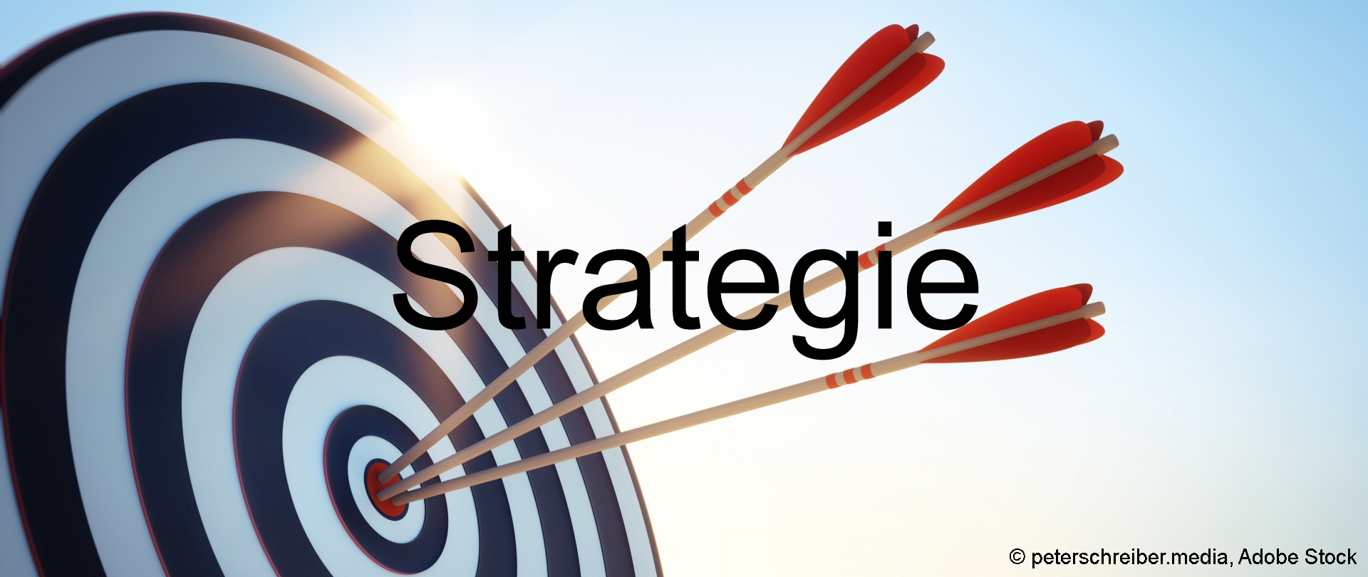 Rubrik Strategie