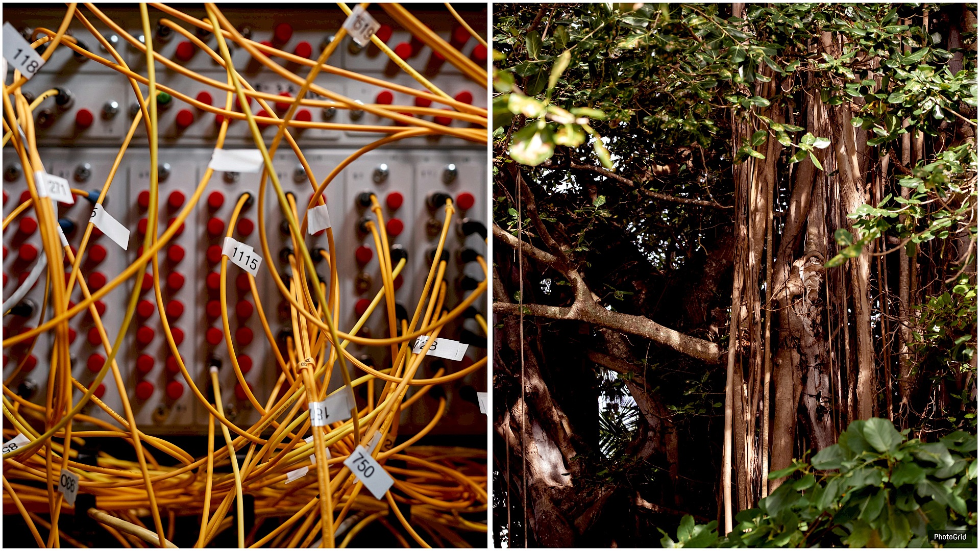 Der neue Partner ist die Natur