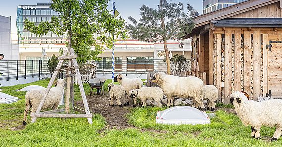 Ein Viertel mit Perspektiven
